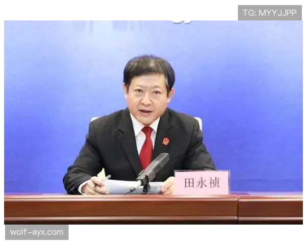 裁判职责详解：比赛中判罚权与规则执行的核心作用