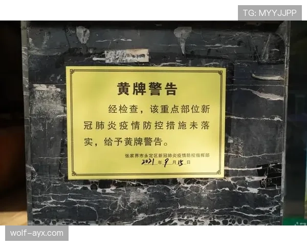 黄牌警告规则详解:判罚标准与累计影响解析 黄牌警告规则详解:判罚标准与累计影响解析