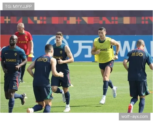 世界杯小组赛关键比赛配合效率全面比较 世界杯小组赛关键比赛配合效率全面比较