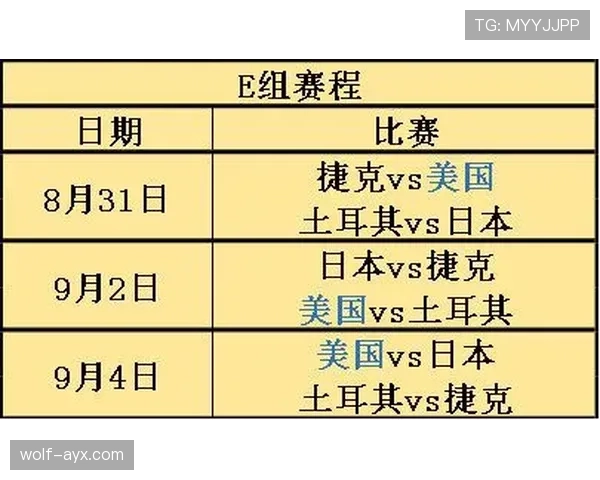 沙特世界杯赛程与关键战分析